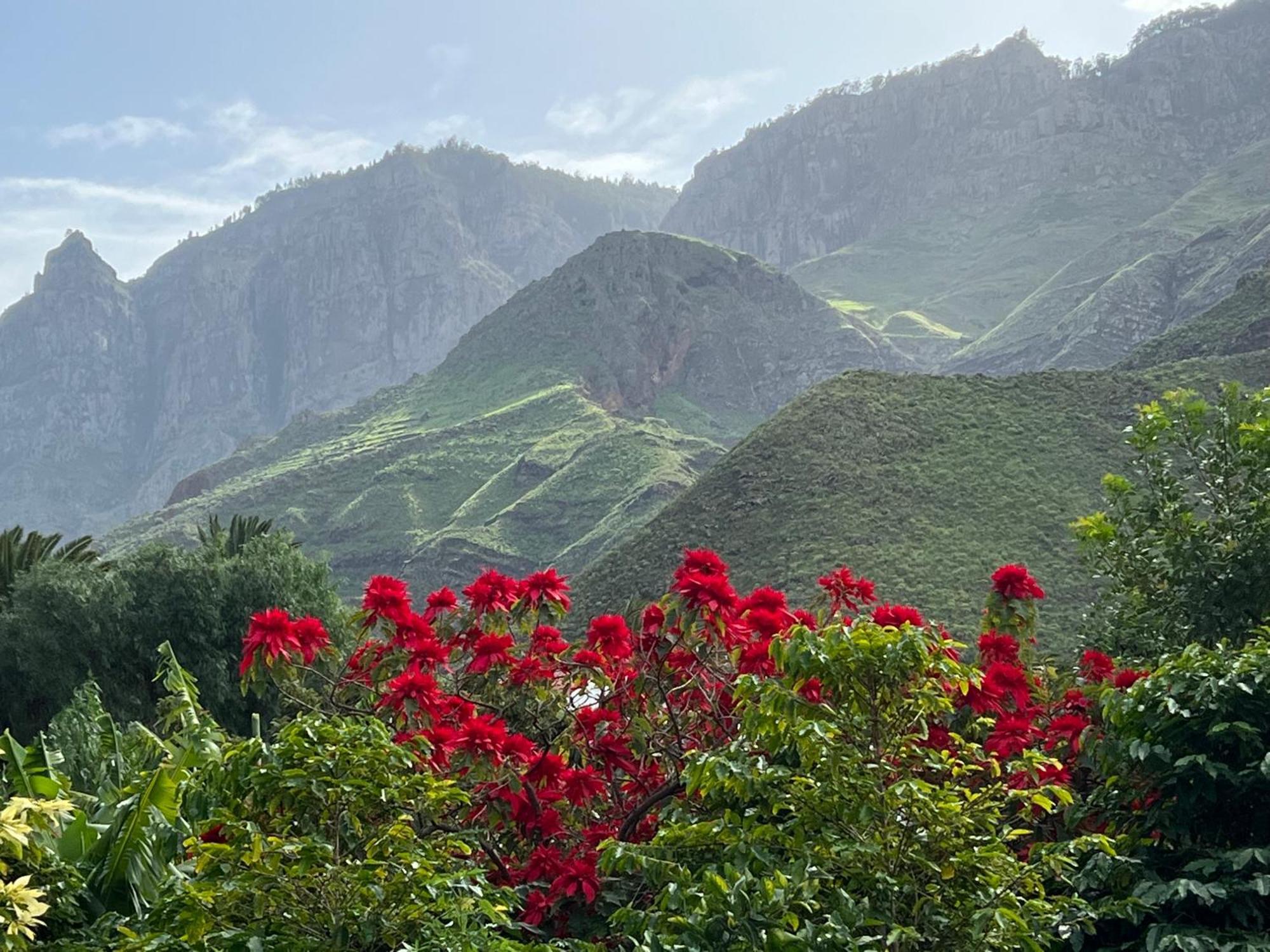 Finca Exclusiv La Mareta Агаэте Экстерьер фото